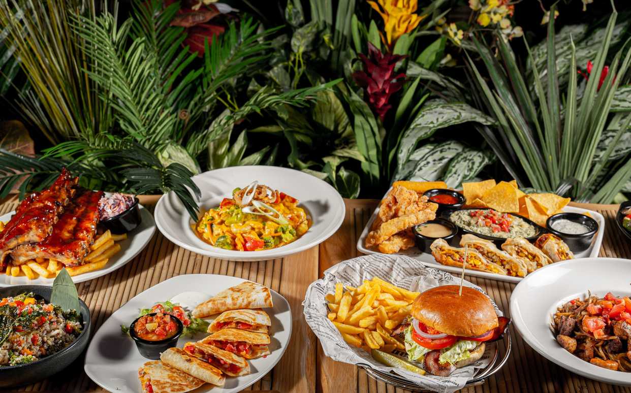 Rainforest Cafe Bolt Food