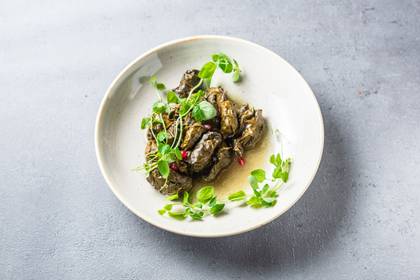 Dolma Lamb in Grape Leaves