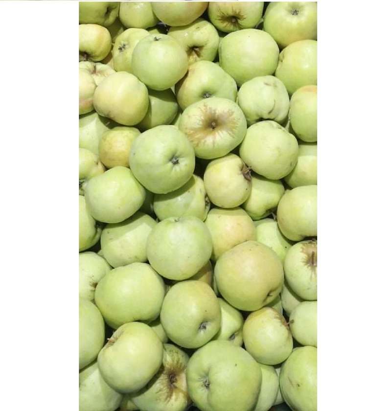 Antaniniai obuoliai, 1 kg.