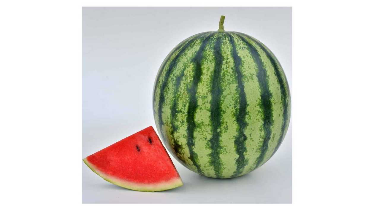 sweet Watermelon  9-10kg