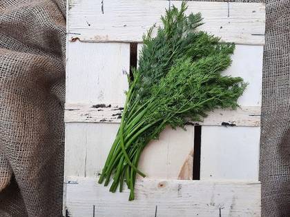 Dill 100Gr