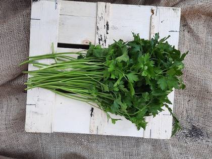 Parsley 100Gr