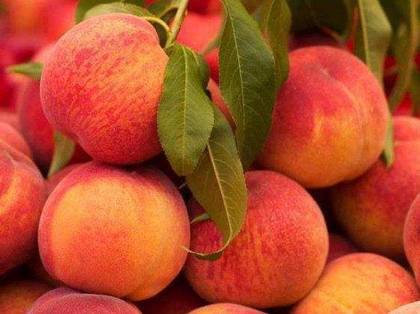 Georgian Peach 1 Kg