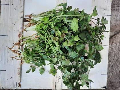 Coriander 100Gr