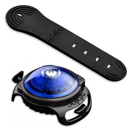Orbiloc Dog LED Light, Blue