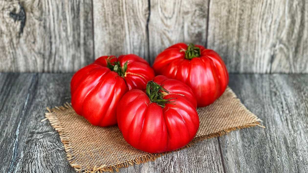 Tomāti Rievoti   [ 750G ]