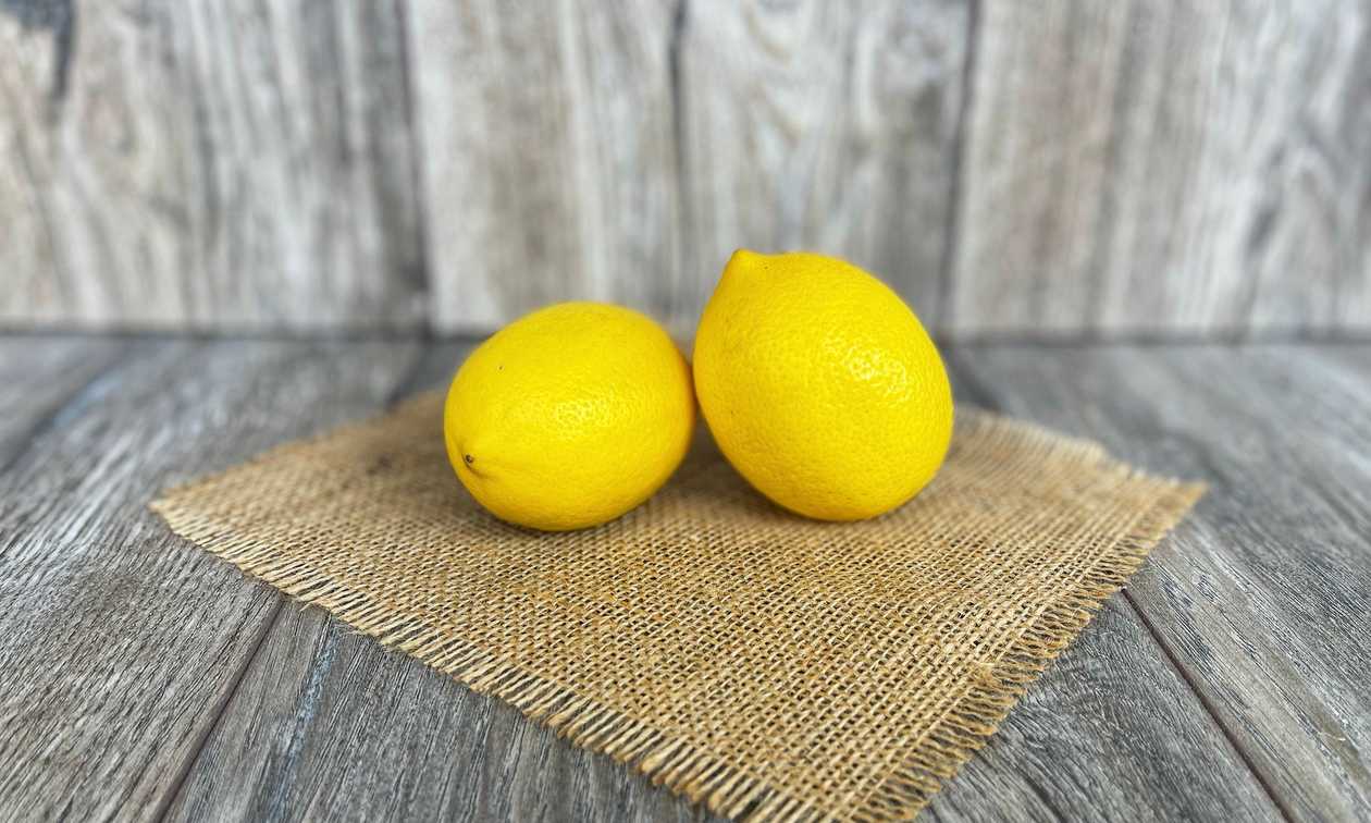 Citrons [ 1 GB ]