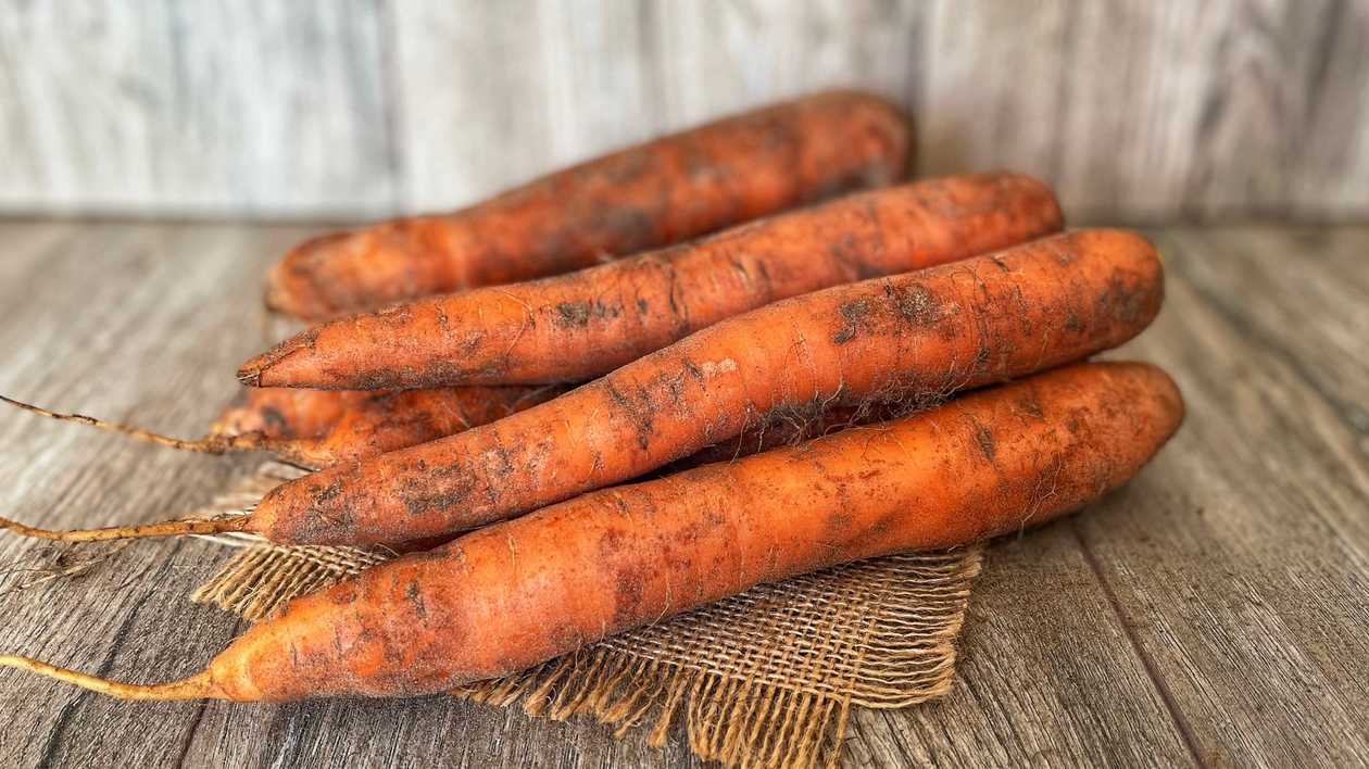 Lauku burkāni 1kg
