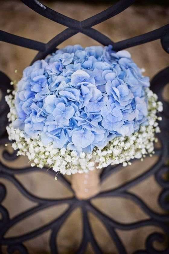 Bouquet  013