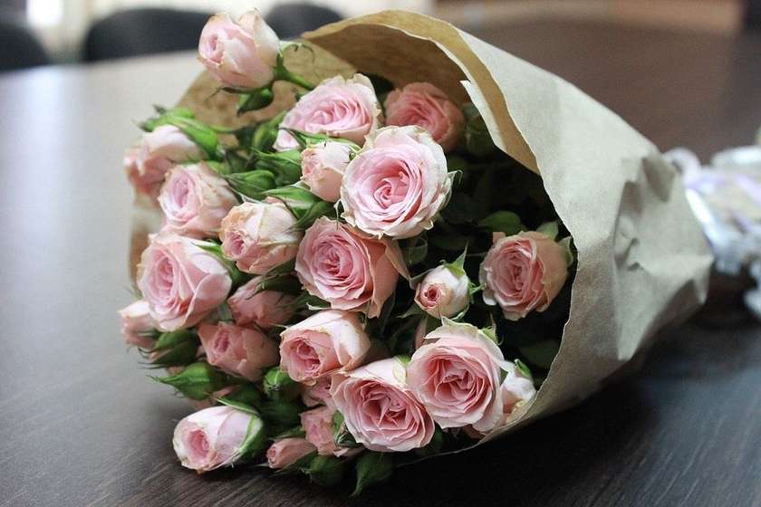 Pink Roses