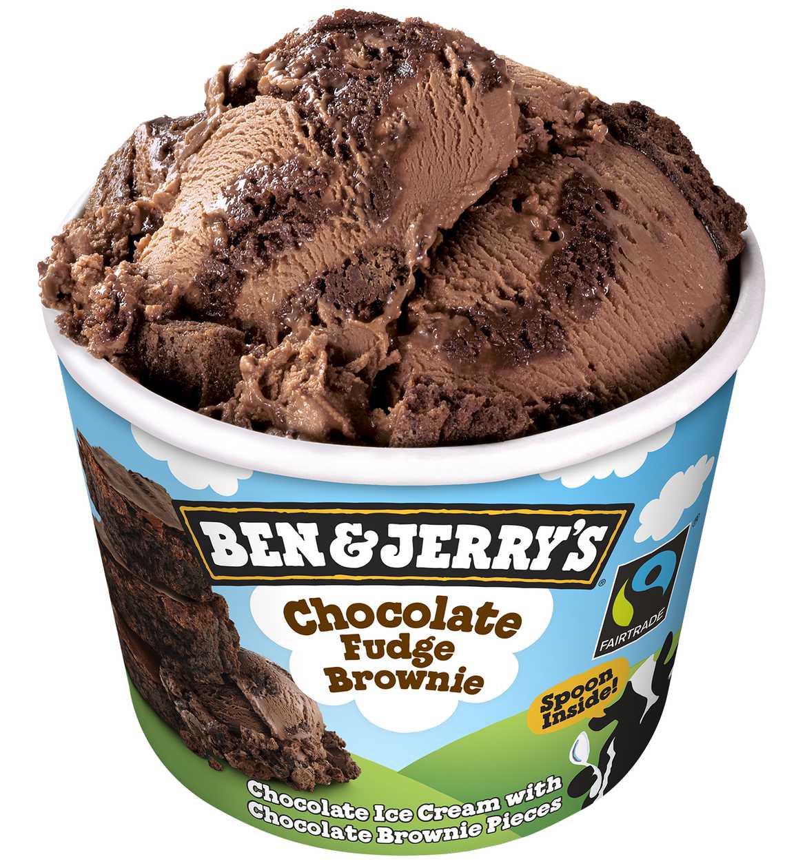 Ben & Jerry's chocolate fudge brownie 100ml