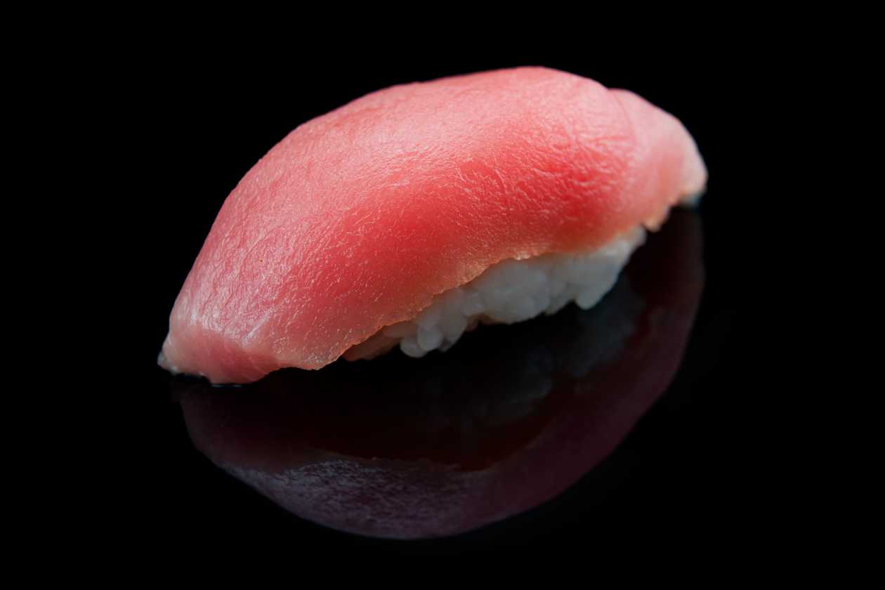 Tuunikala nigiri (1 tk)