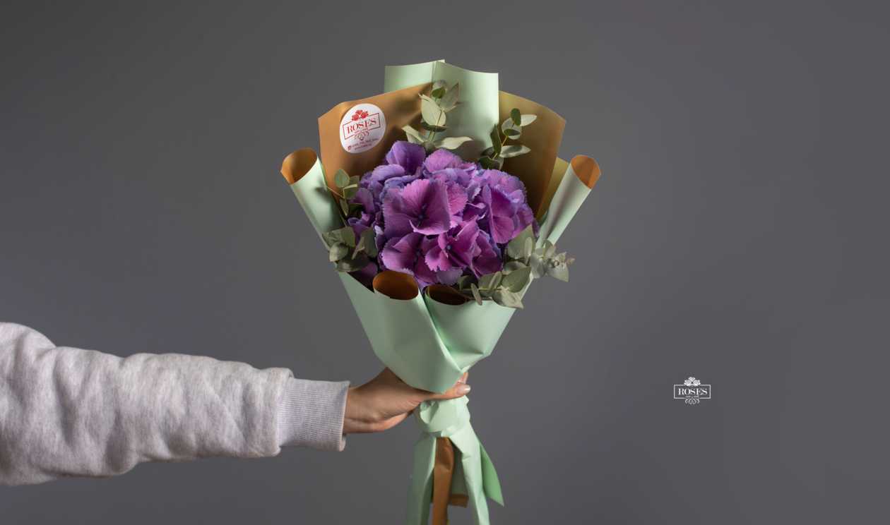 Purple hydrangea N2