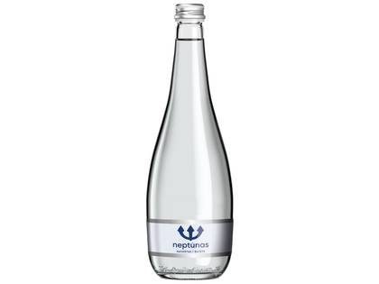 Neptunas Sparkling 0,75L