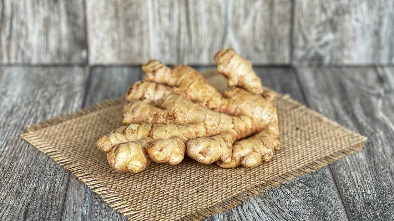 Ingvera sakne  [150 - 200 G ]