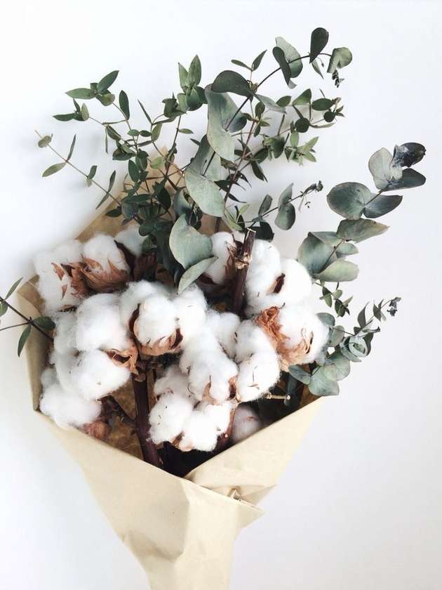 Decorative Cotton Eucalyptus In Craft