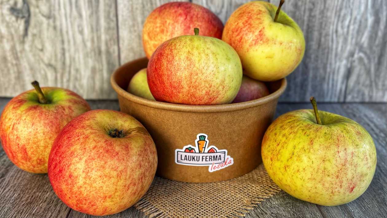 Āboli Latvija "Auksis" 🍎 [ 1 KG ]