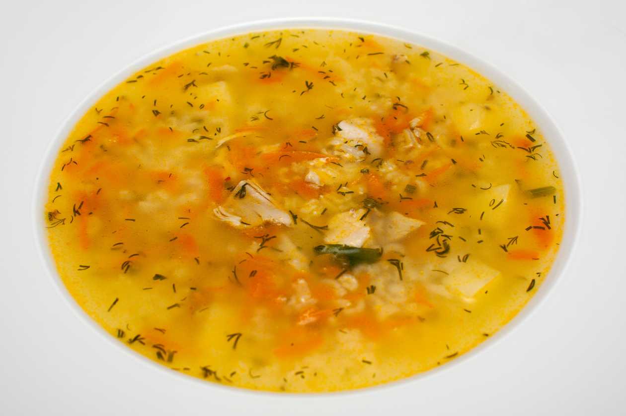 Light chicken soup