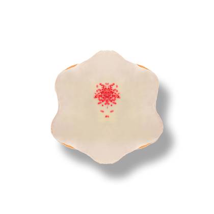 Donut Raspberry Regular
