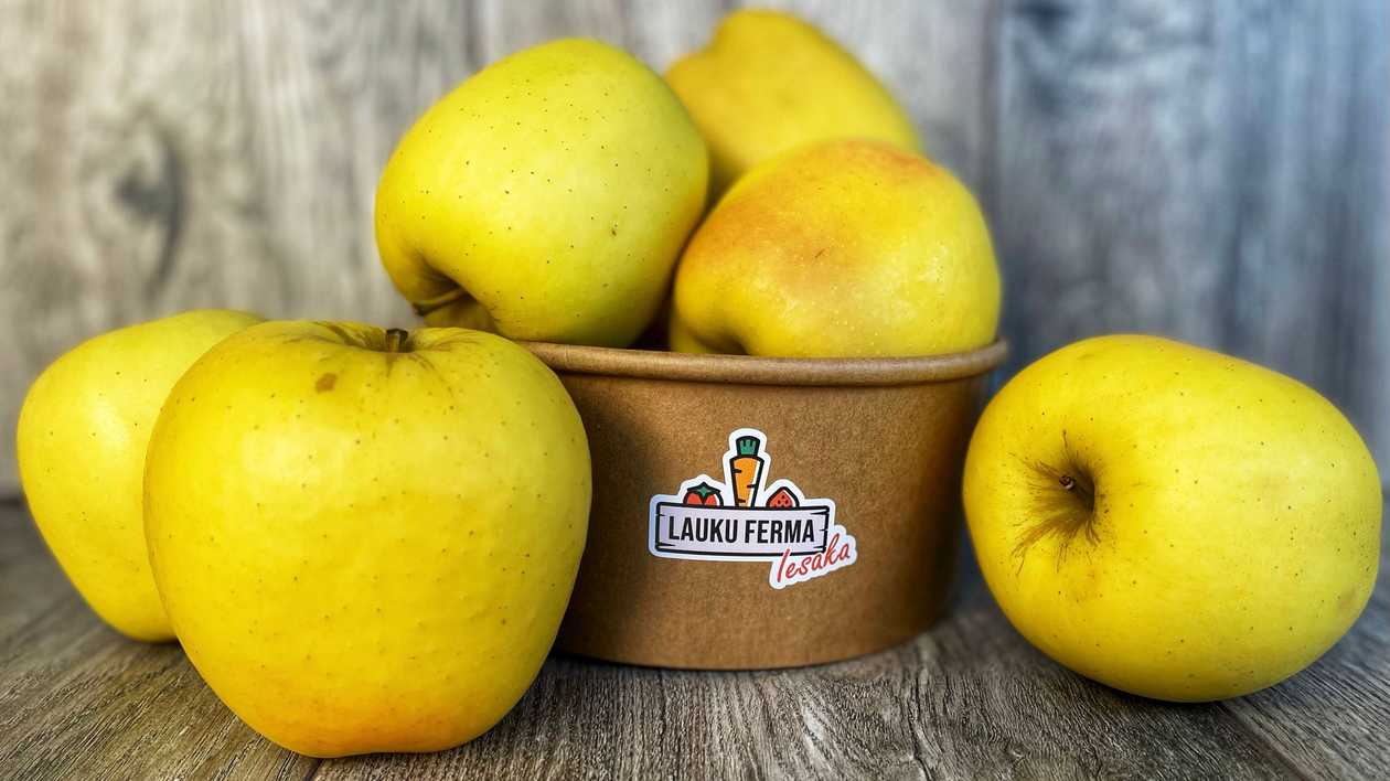 Āboli  "Celmiņu Dzeltenais"  🍏 [ 1 KG ]