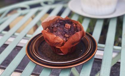 Chocolate Muffin