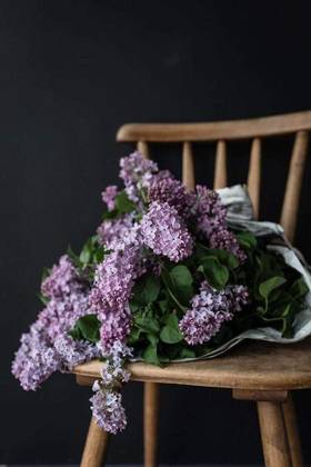 Lilac