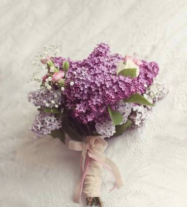 Lilac