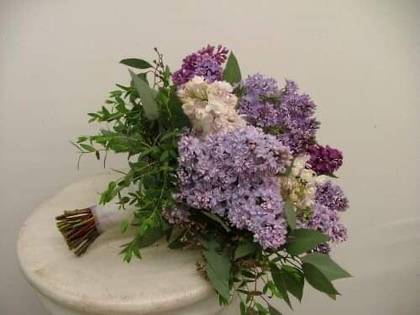 Lilac Eucalyptus