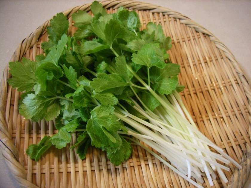 Celery 100 g