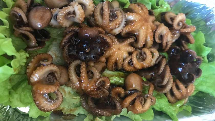 Baby Octopus (5 pieces)