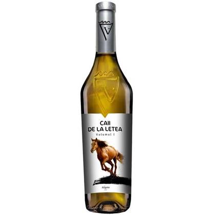 Caii de la
  Letea VOLUMUL I Aligote