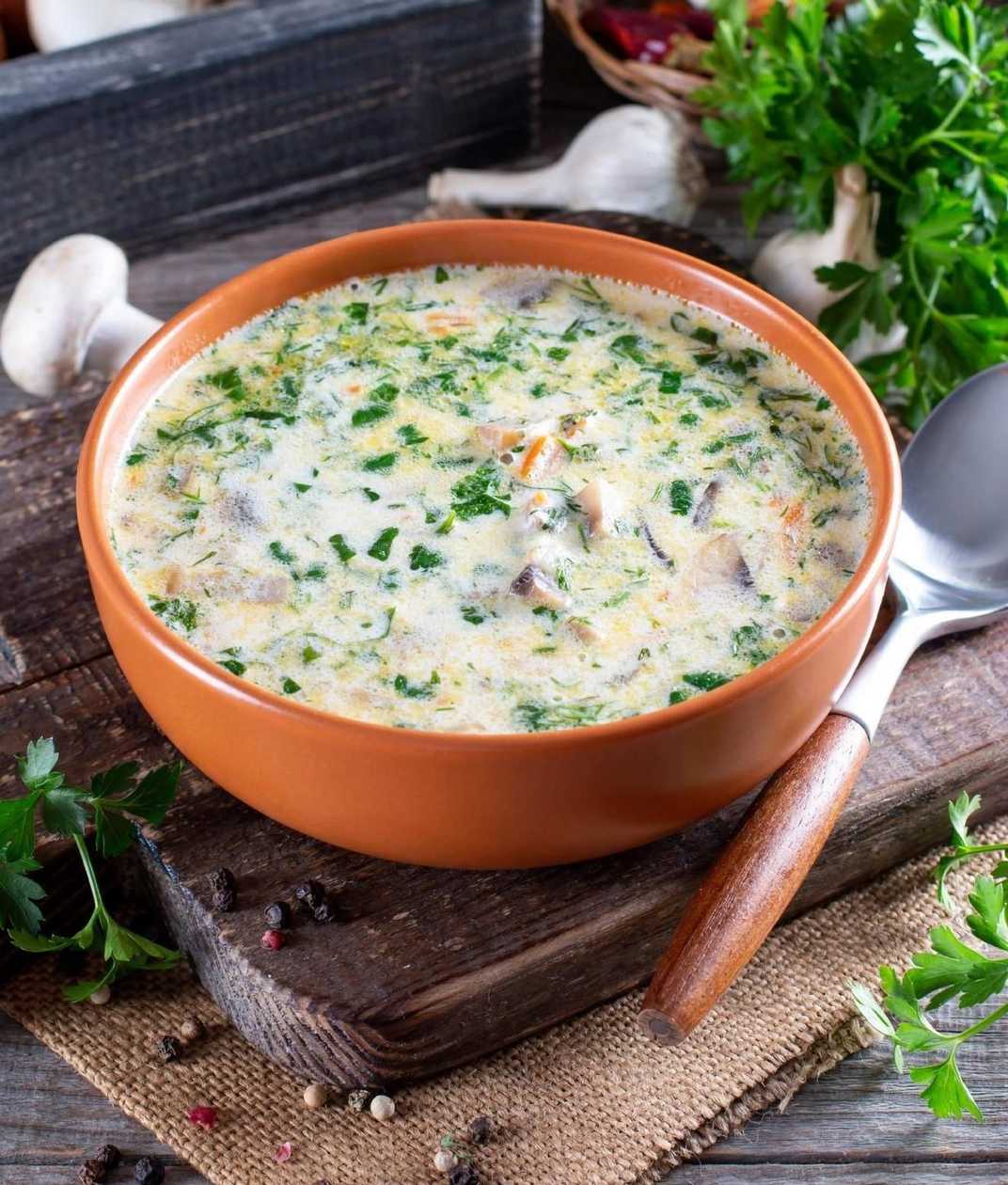 Salmon and Cheese Soup