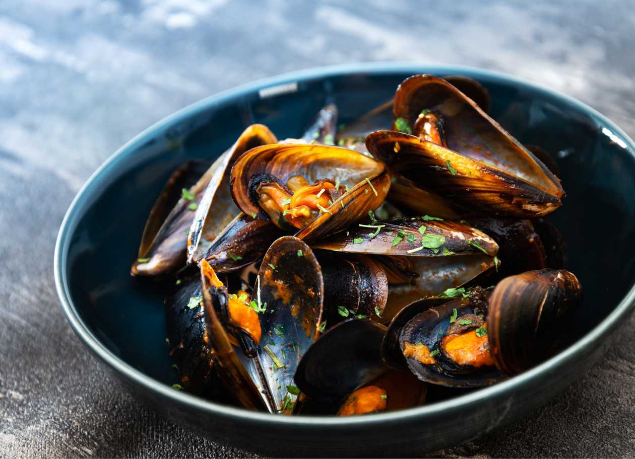 Mussels in cream sauce with parmesan 0,5 kg