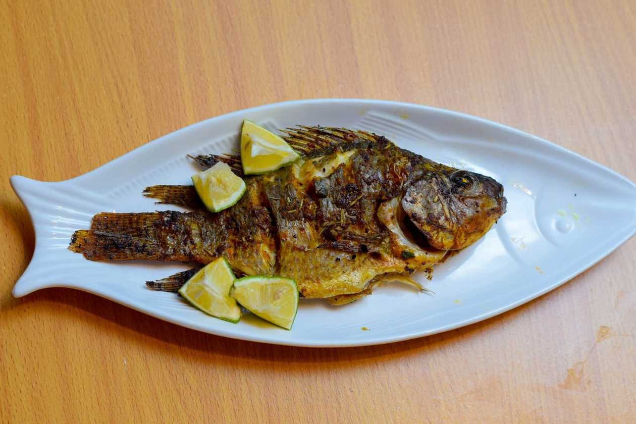 Grilled Fish