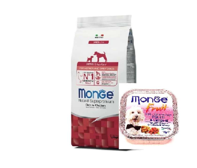 Monge-Mini-Starter-Rich-in-Chicken-for-Mother-Baby-Dogs 1.5kg+ 1 Pate Chunkies chicken &Raspberry