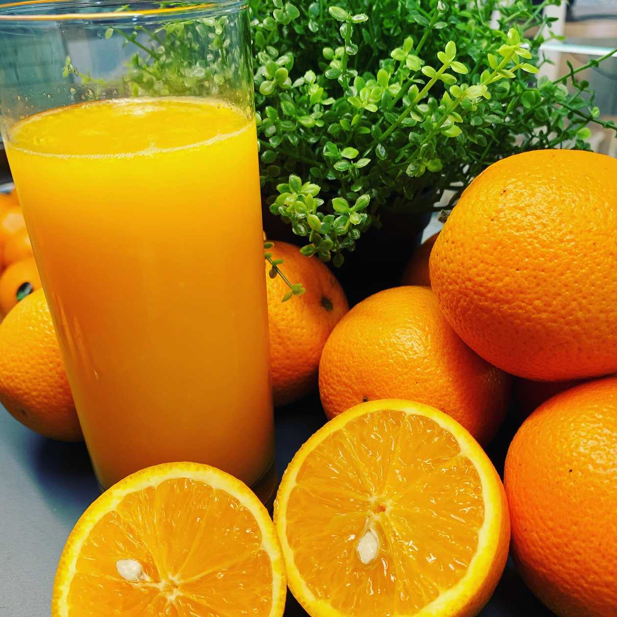 Freshly Squeezed Orange Juice