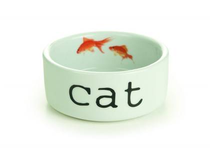 Beeztees Snapshot Cat keraamiline kauss 3 l