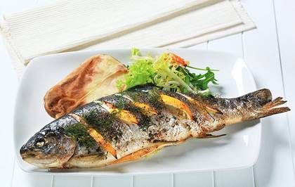 Grilled Trout