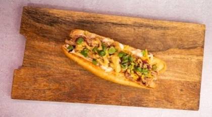 Barbecue dog