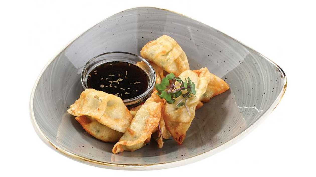 WON-TON meat dumplings
