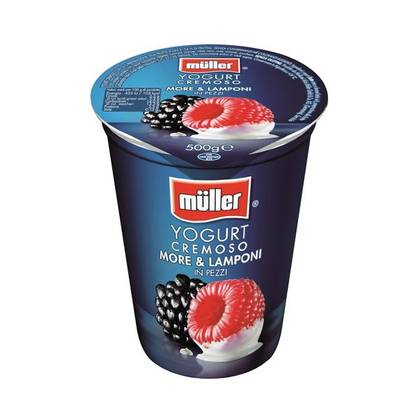 Muller, Yogurt with Blueberries and Raspberries, 500 g (expires soon)