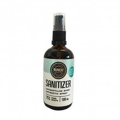 Punch antiseptic Spray with Pump 0,1 l