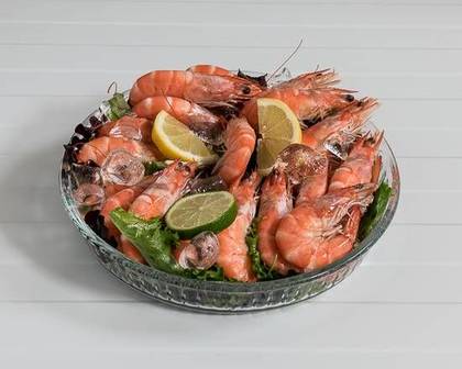 Gamba Queen Calibre 30-40 Dose de 300g