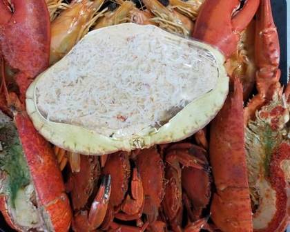 Especial Mulher Família Mariscada Aprox 2000g