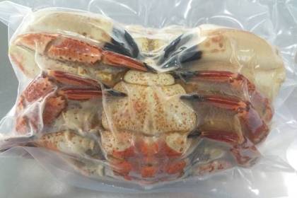 Sapateira Fêmea cozida na captura de 800g /1100 kg Ultracongelada