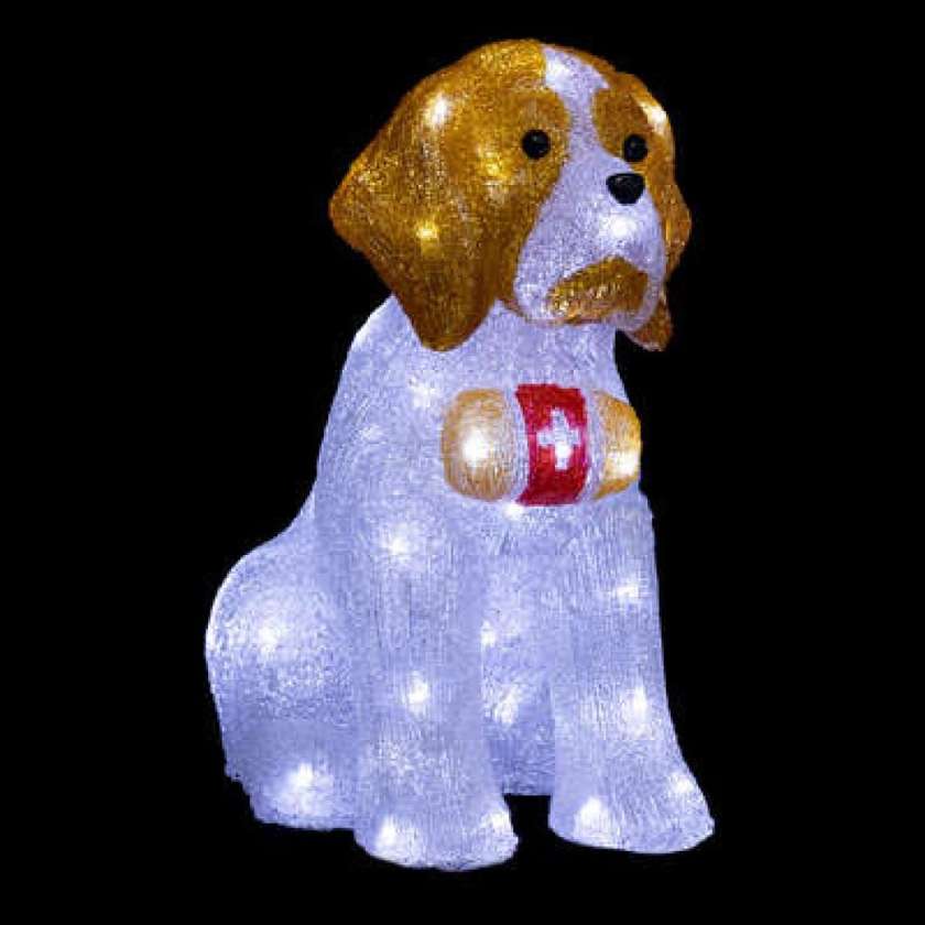 Saint Bernard Dog with Lights