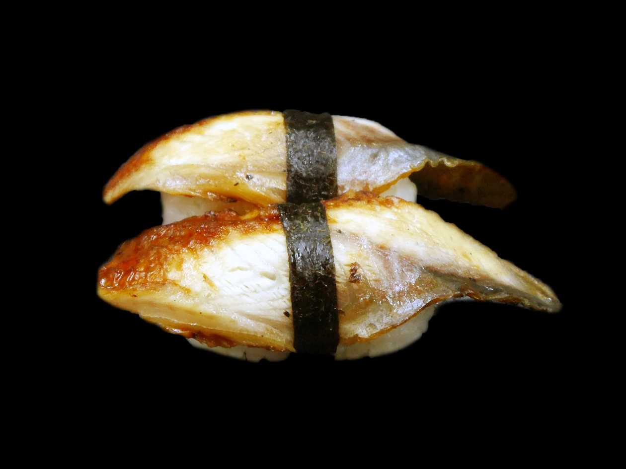 Nigiri Eel