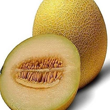 ნესვი 1ც
