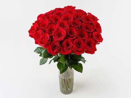 Red Roses