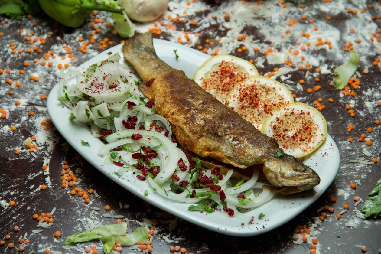 Trout